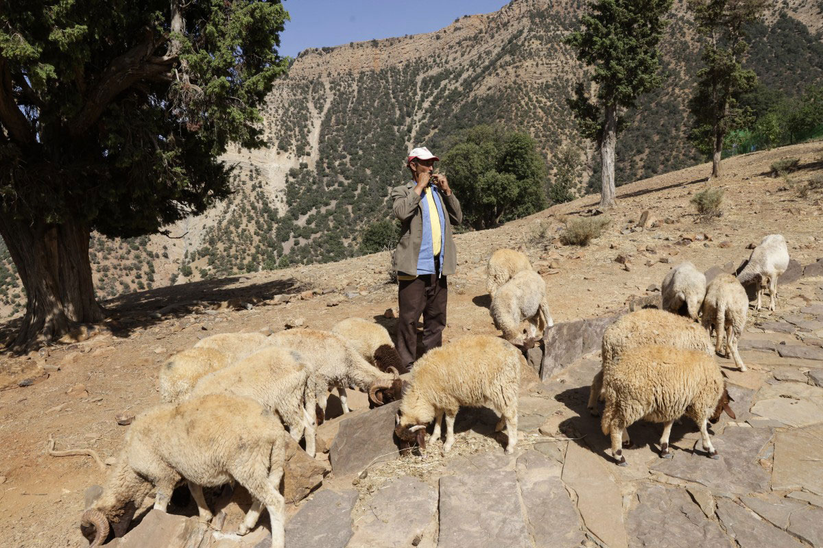 Tilouguite : le langage millénaire des siffleurs du Haut Atlas en danger de disparition