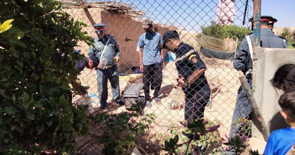 décès fosse spetique chichaoua
