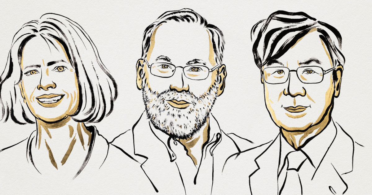 Mary E. Brunkow, Fred Ramsdell et Shimon Sakaguchi, nobel 2025 de médecine