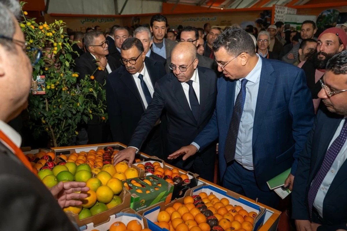 Agrumes Salon national Sidi Kacem