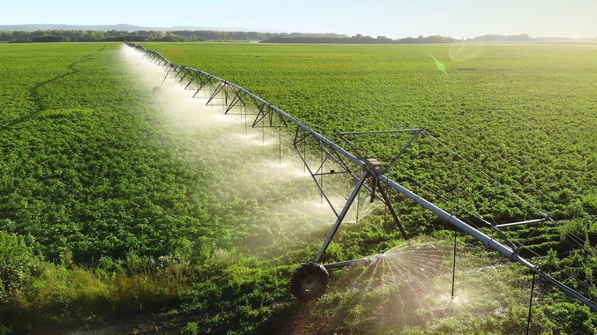 CIA Investissements agricoles