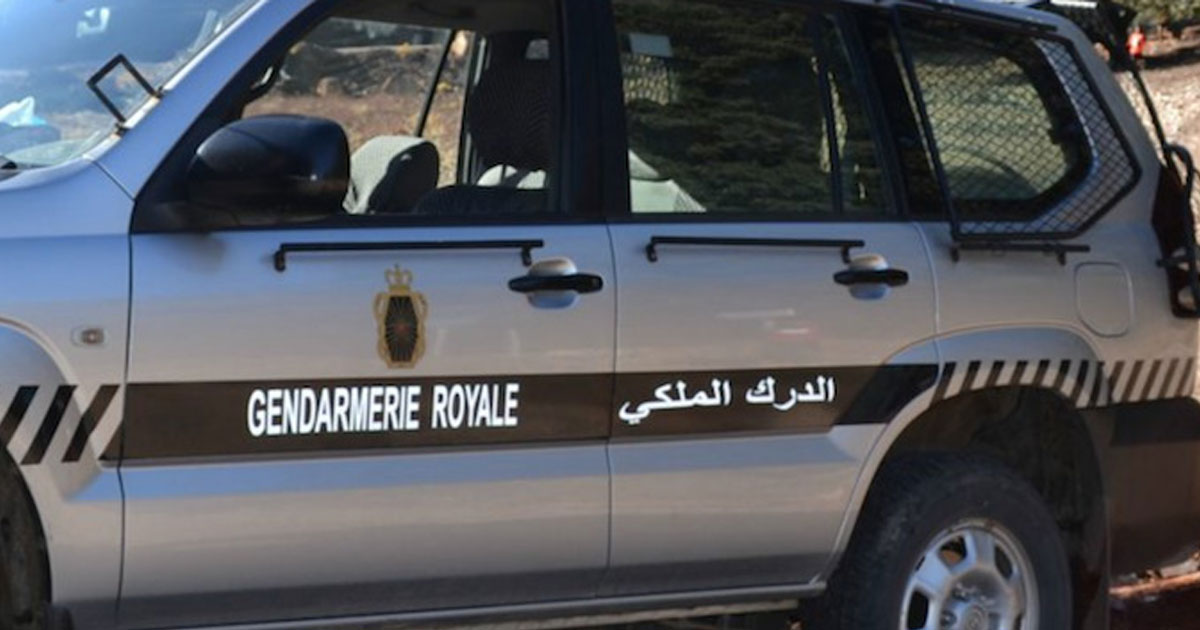 Opération anti-drogue à Khénifra : saisie record de cannabis, cocaïne et kif