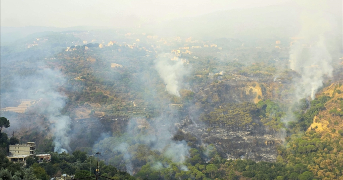 incendies de forêt algérie