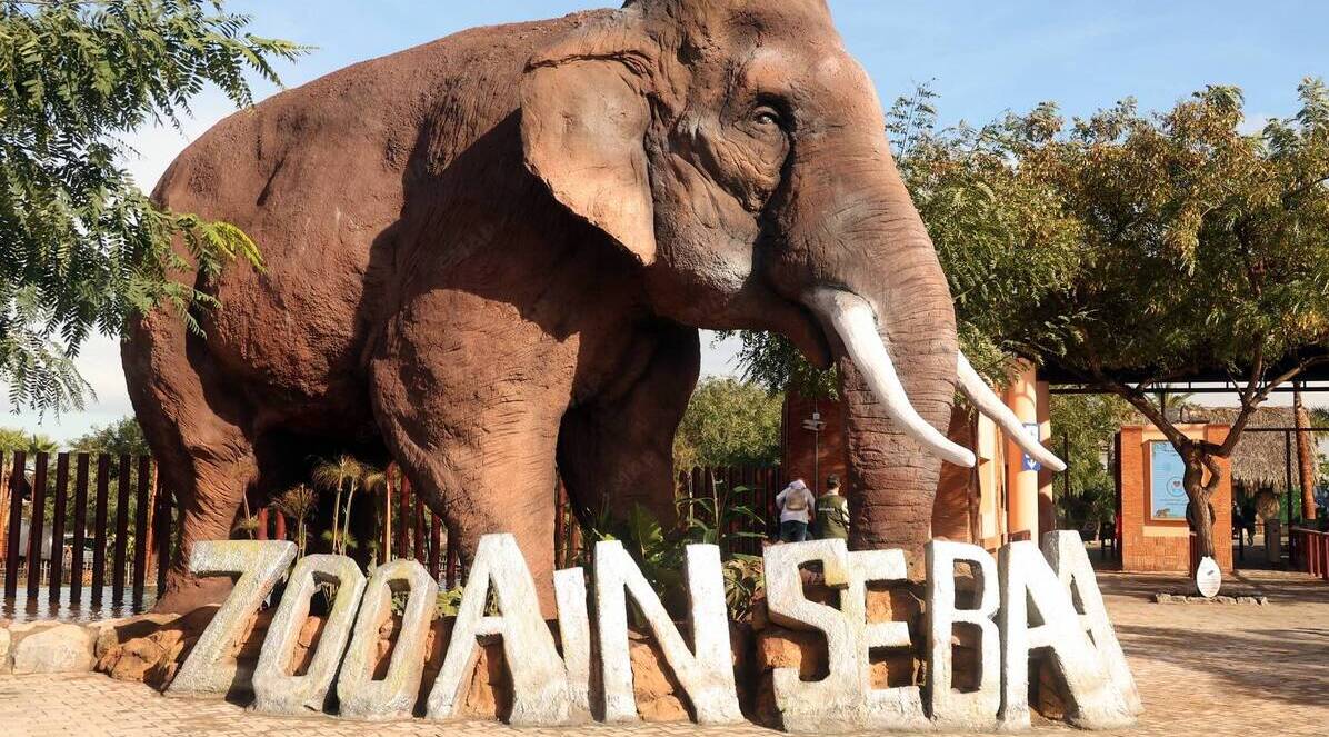 Zoo de Aïn Sebaâ, Zoo, park zoologique,