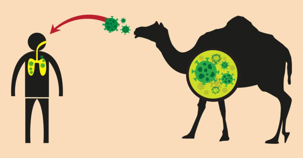 Virus Mers