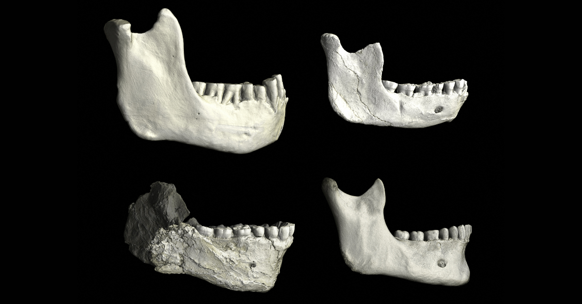 Maroc-Homo sapiens-découverte anthropologique