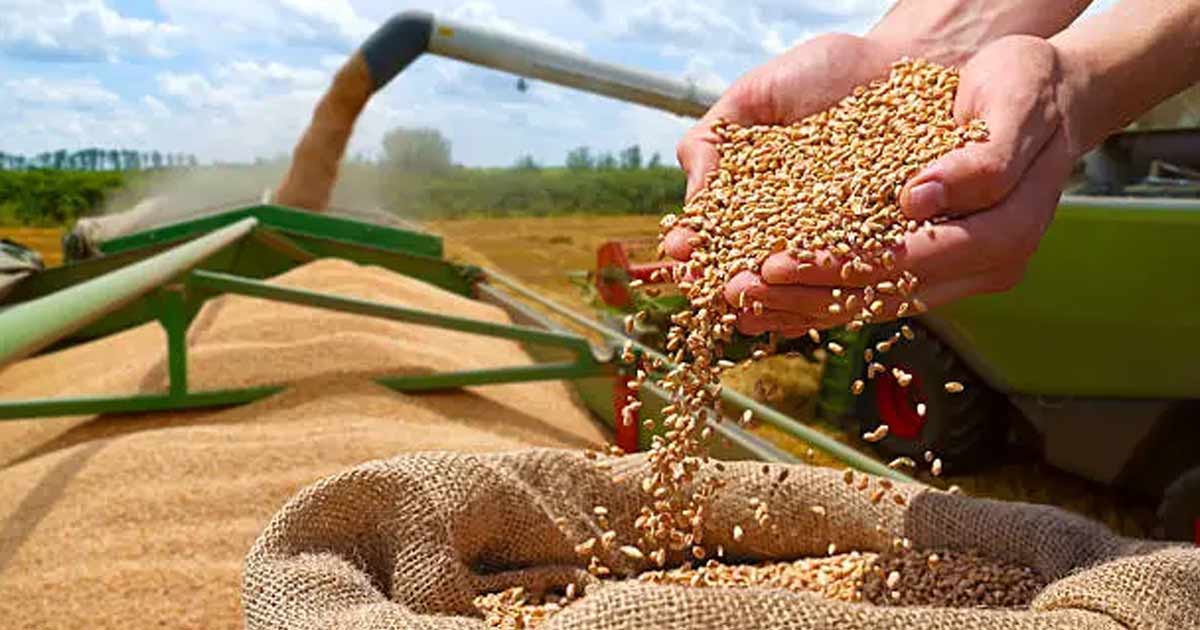 Souveraineté alimentaire et climat : la Cour des comptes appelle à une nouvelle stratégie nationale