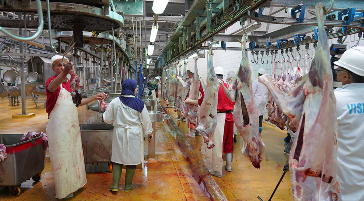 Abattoirs Casablanca