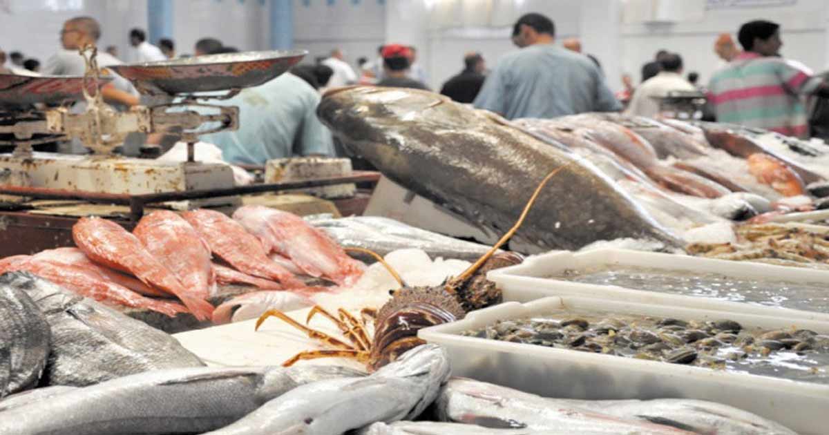 Ramadan : la flambée des prix du poisson interpelle le ministre Ahmed El Bouari au Parlement
