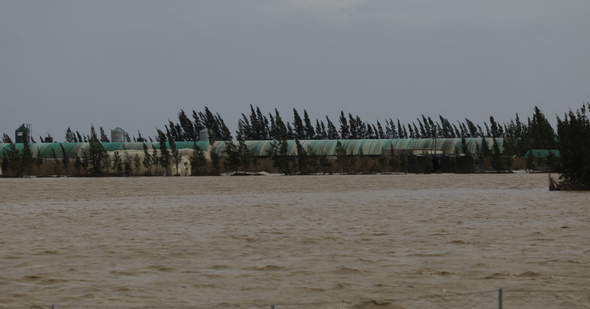 Inondations_agriculture_Maroc