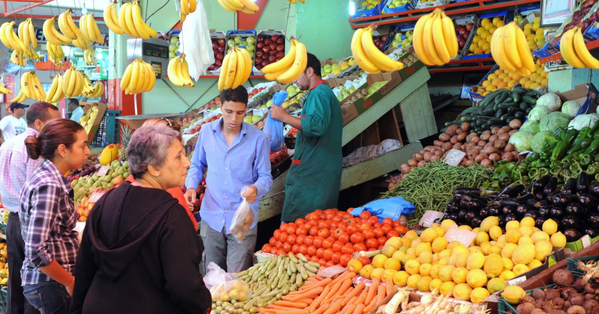 approvisonnement des marchés