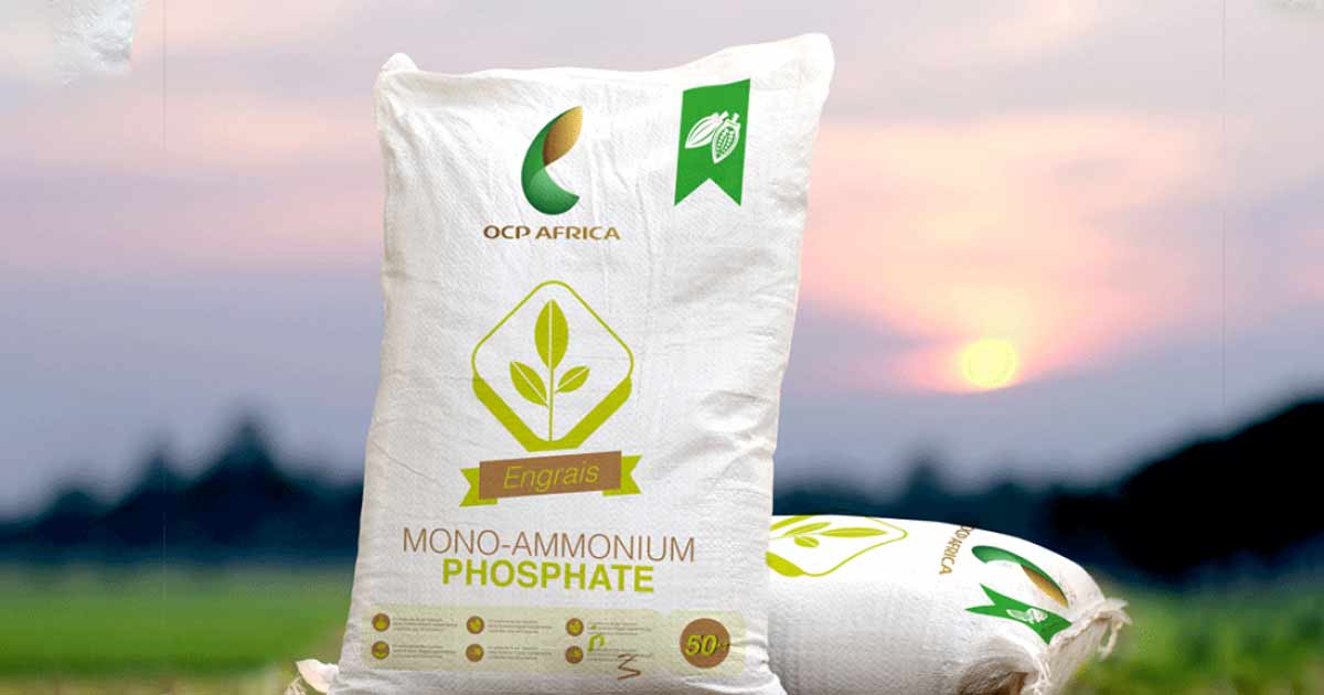 Plus de 60 organisations agricoles aux États-Unis font pression pour lever les droits sur les engrais marocains