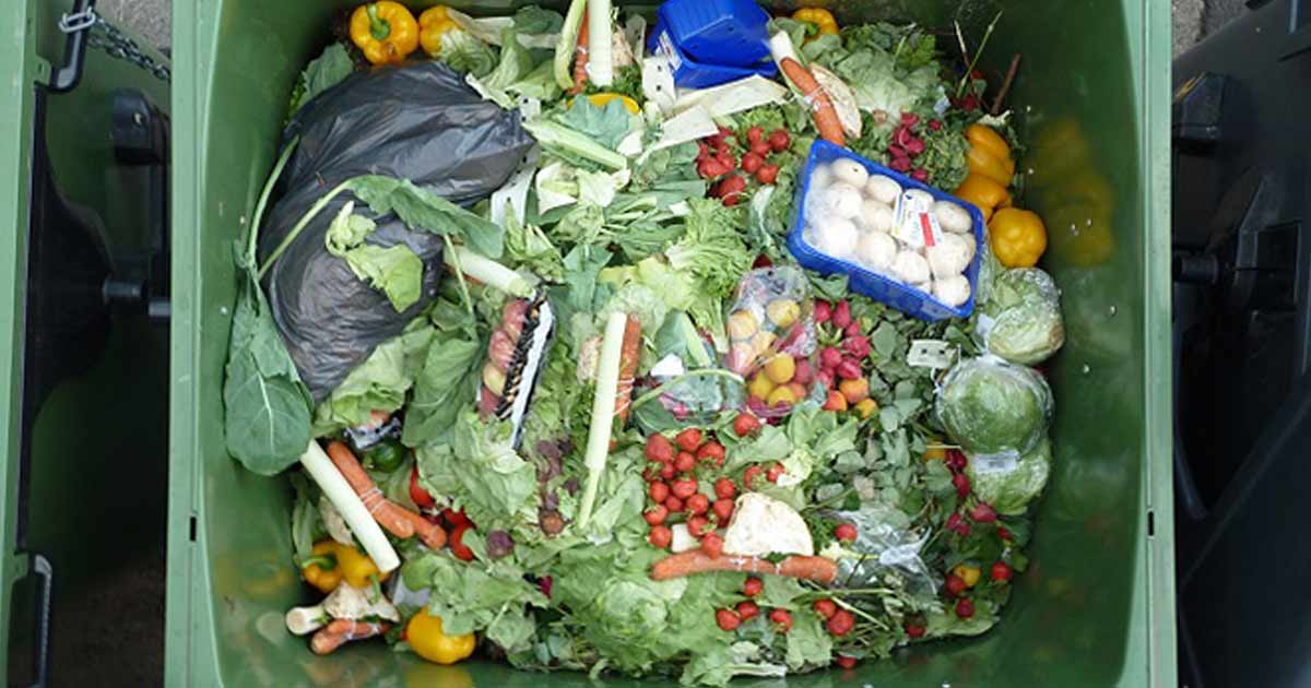 Gaspillage alimentaire : le marocain jette 113 kg en moyenne par an (CESE)
