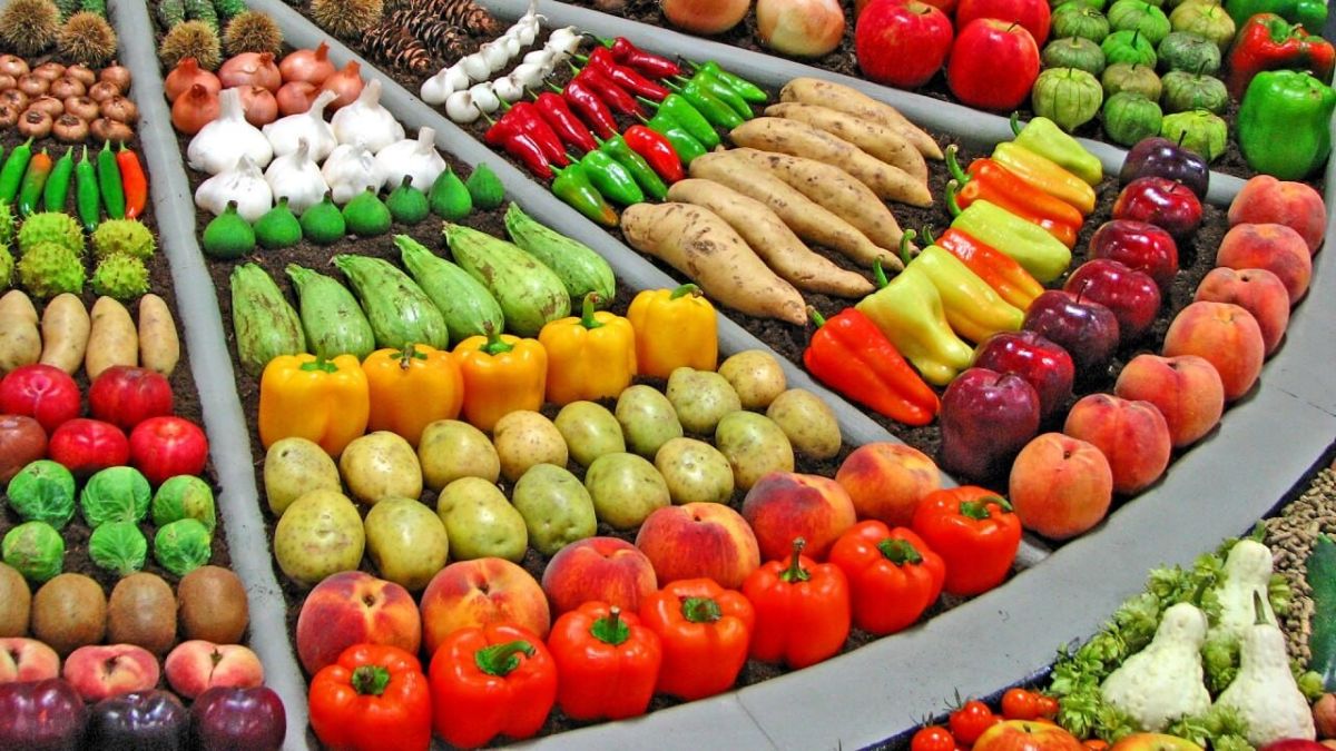 Exportations Fruits et légumes Maroc