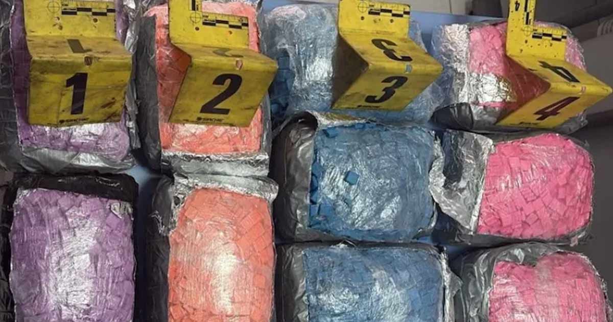 Trafic international de drogue déjoué au port de Tanger Med
