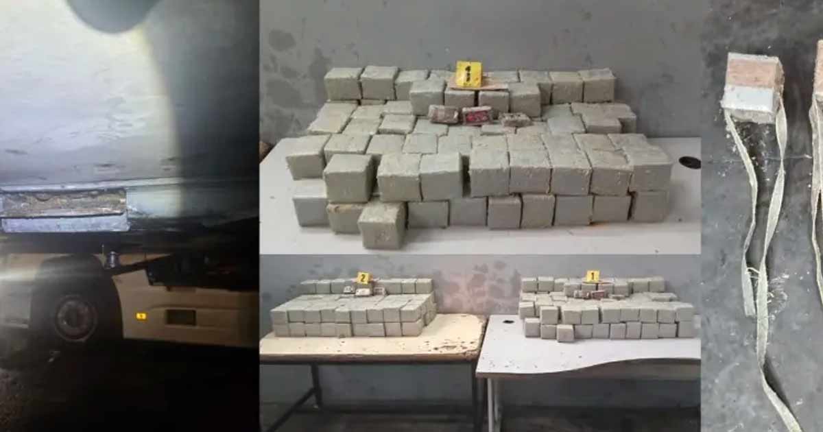Port de Tanger Med : 181 kg de chira saisis, un chauffeur arrêté