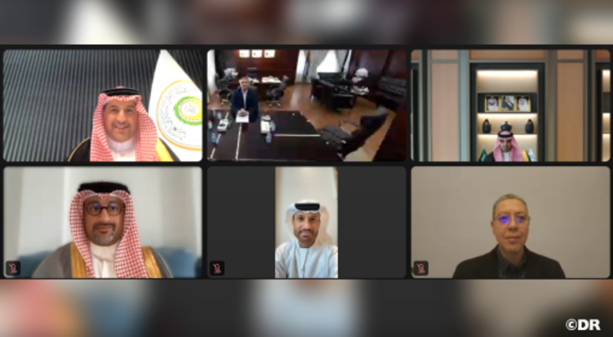 cybersécurité, pays arabes,