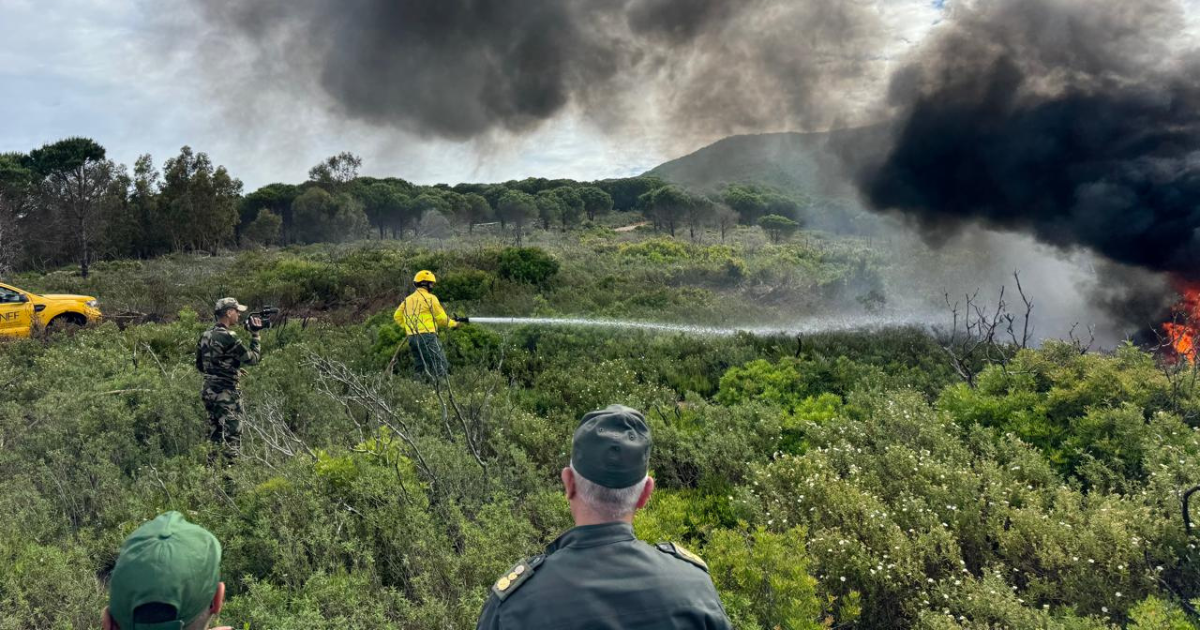 Exercice de lutte contre les incendies de forêt-FOREX'26