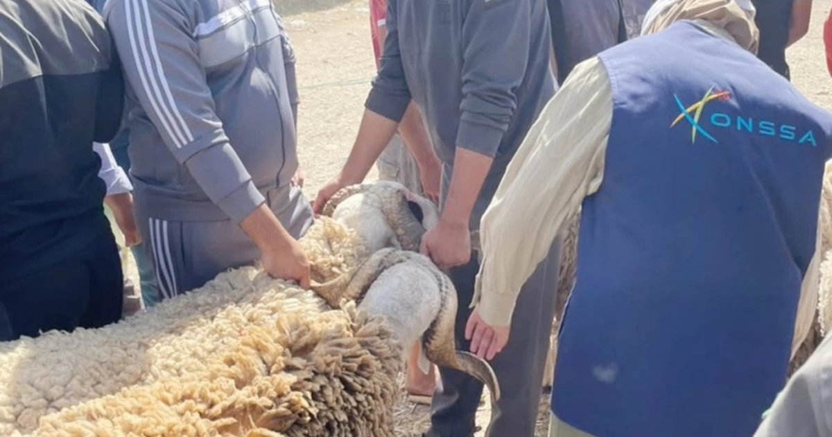 ONSSA Aid Al-Adha