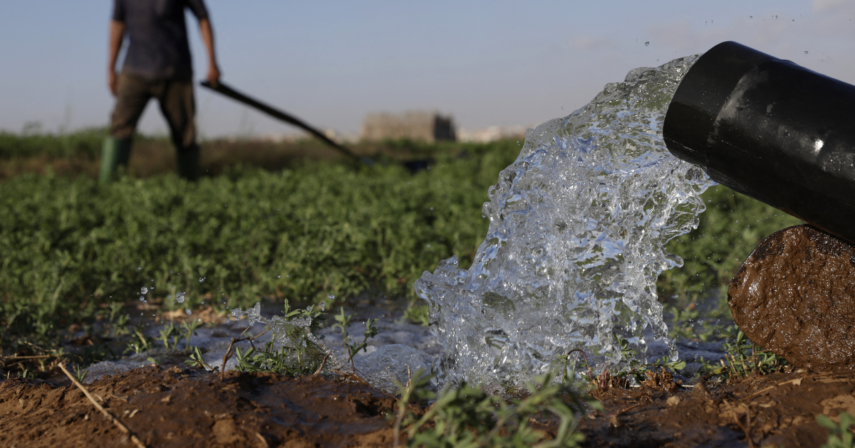 irrigation agricole Al haouz