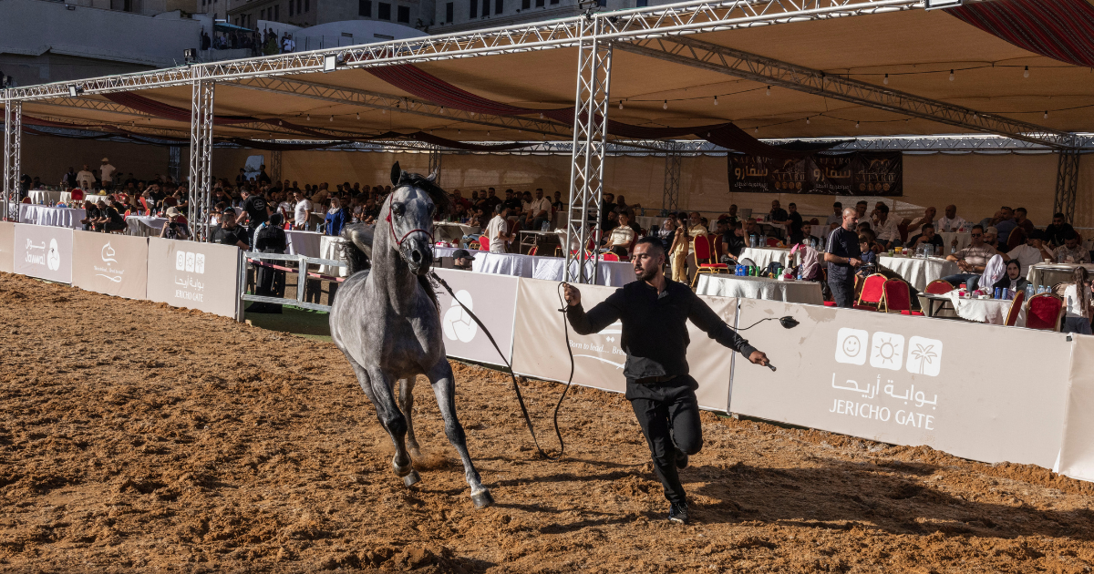 Cheval_palestiniens_cisjordanie