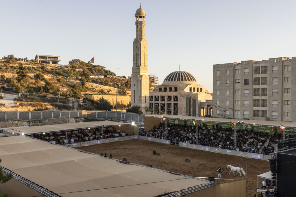 Cheval_palestiniens_cisjordanie_concours_equestre