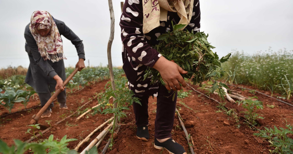 PAASIFEJ_Agriculture_femmes_rurales
