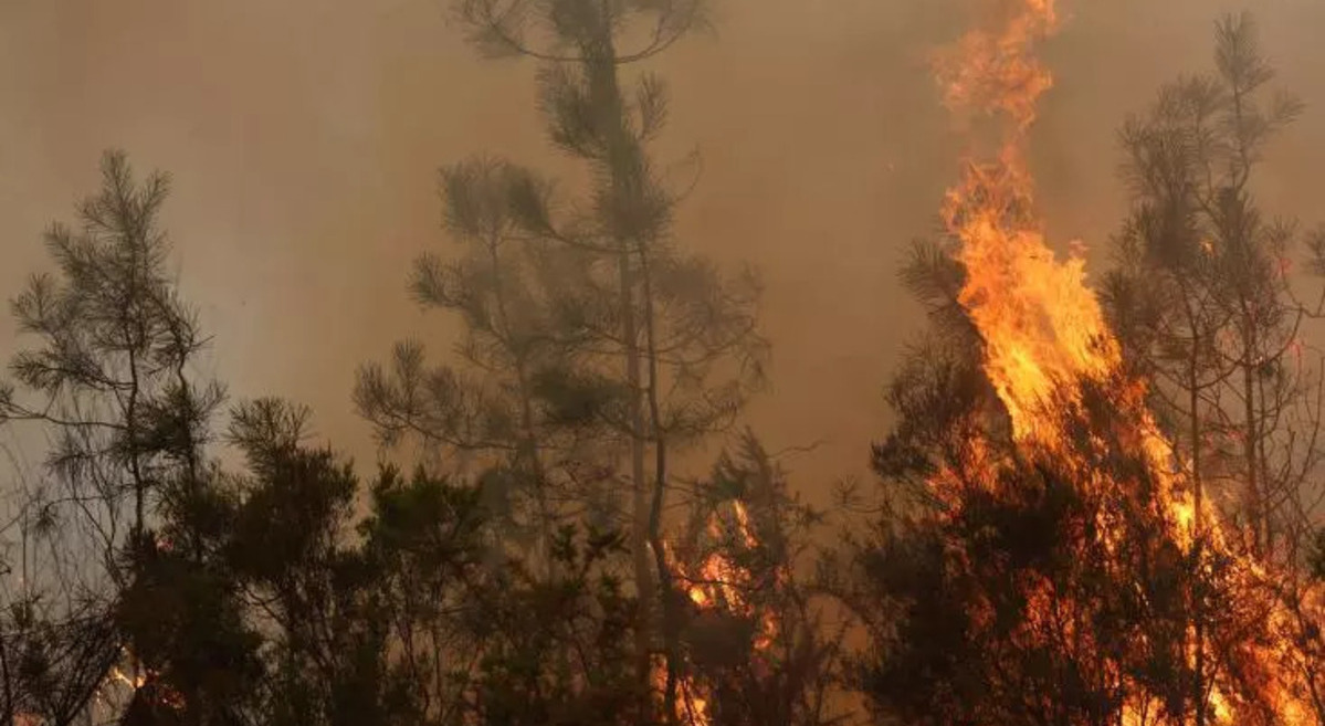 France, Espagne, incendies,